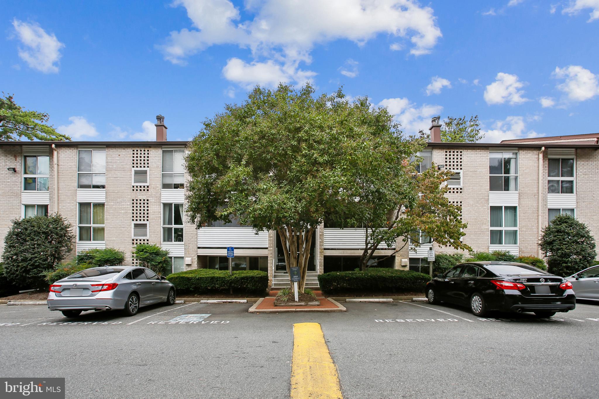 5608 BLOOMFIELD DRIVE 204