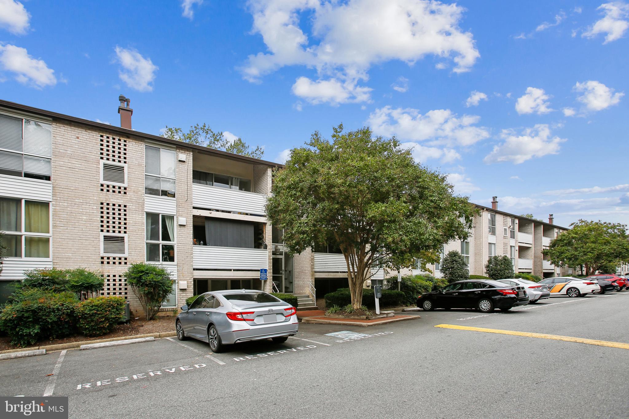 5608 BLOOMFIELD DRIVE 204