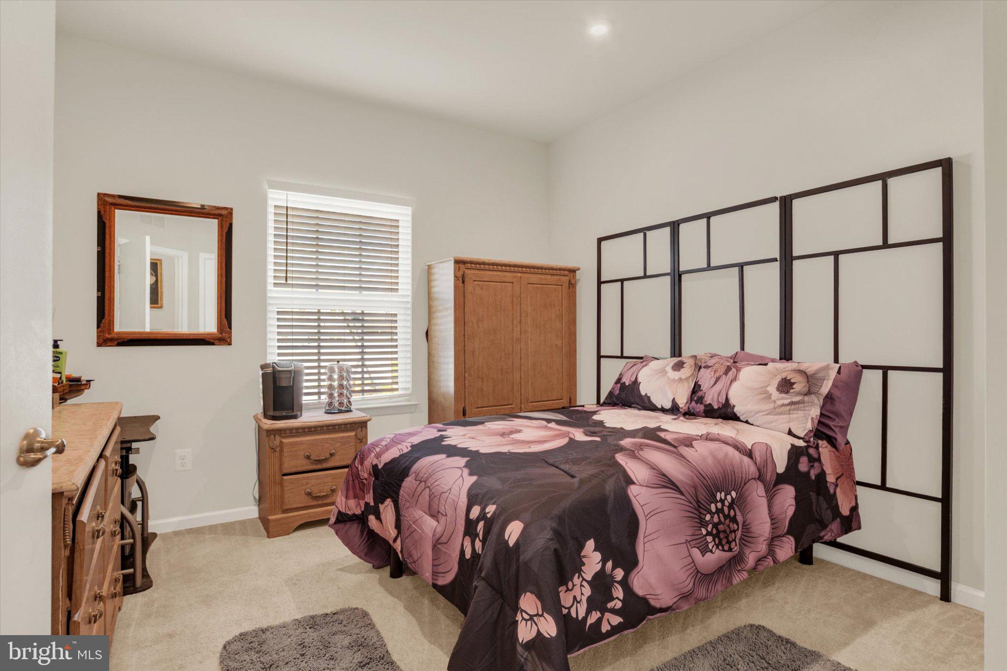 BLUE RIDGE PARK - Residential