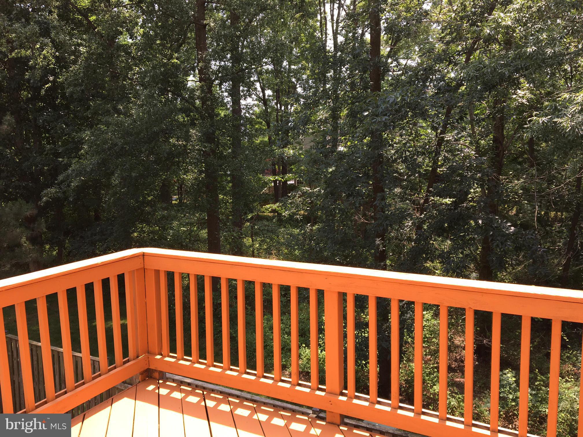 WOODLAND PARK - Residential Lease