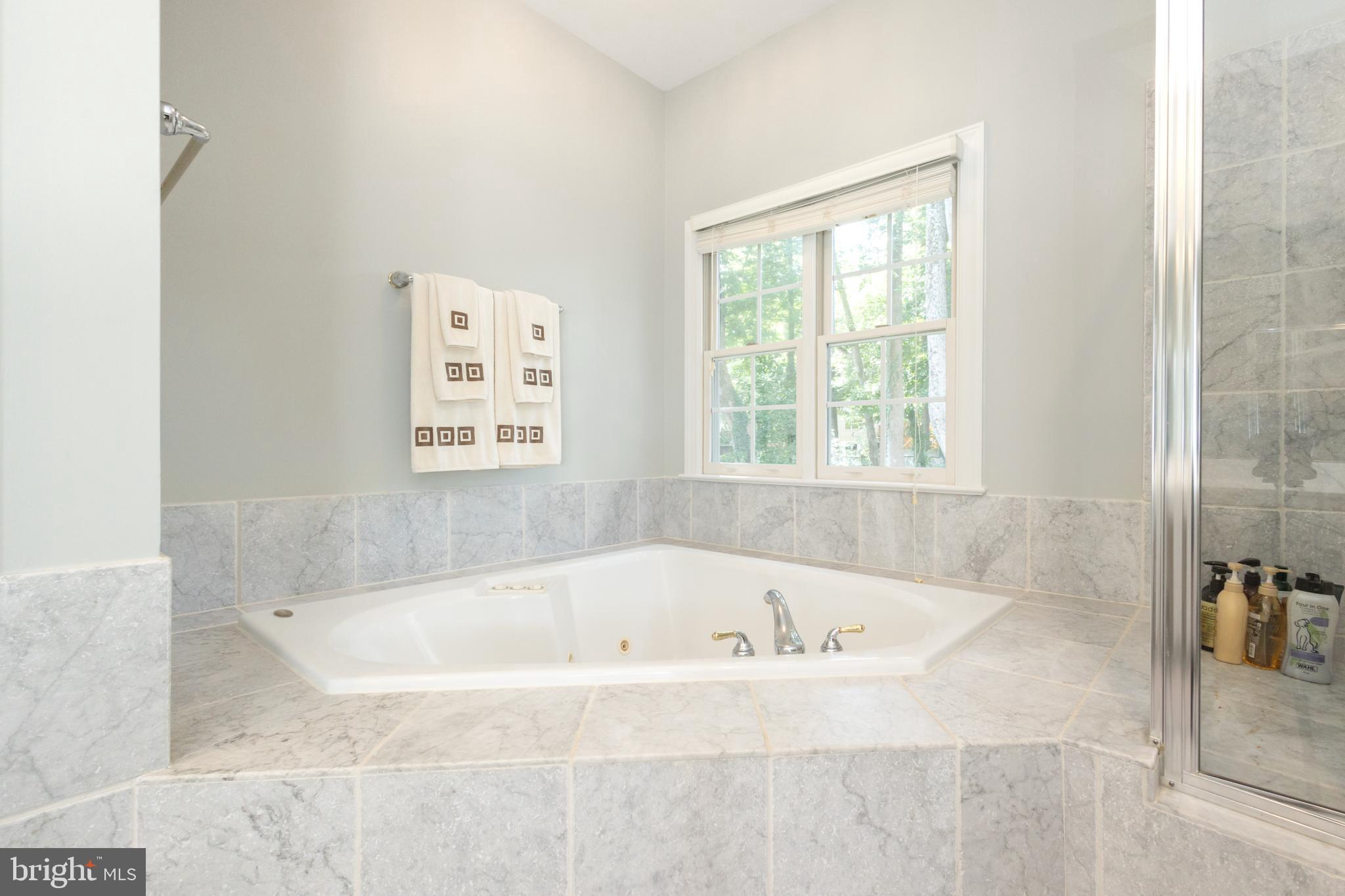 FOREST HILLS OF FAIRFAX - Residential Lease