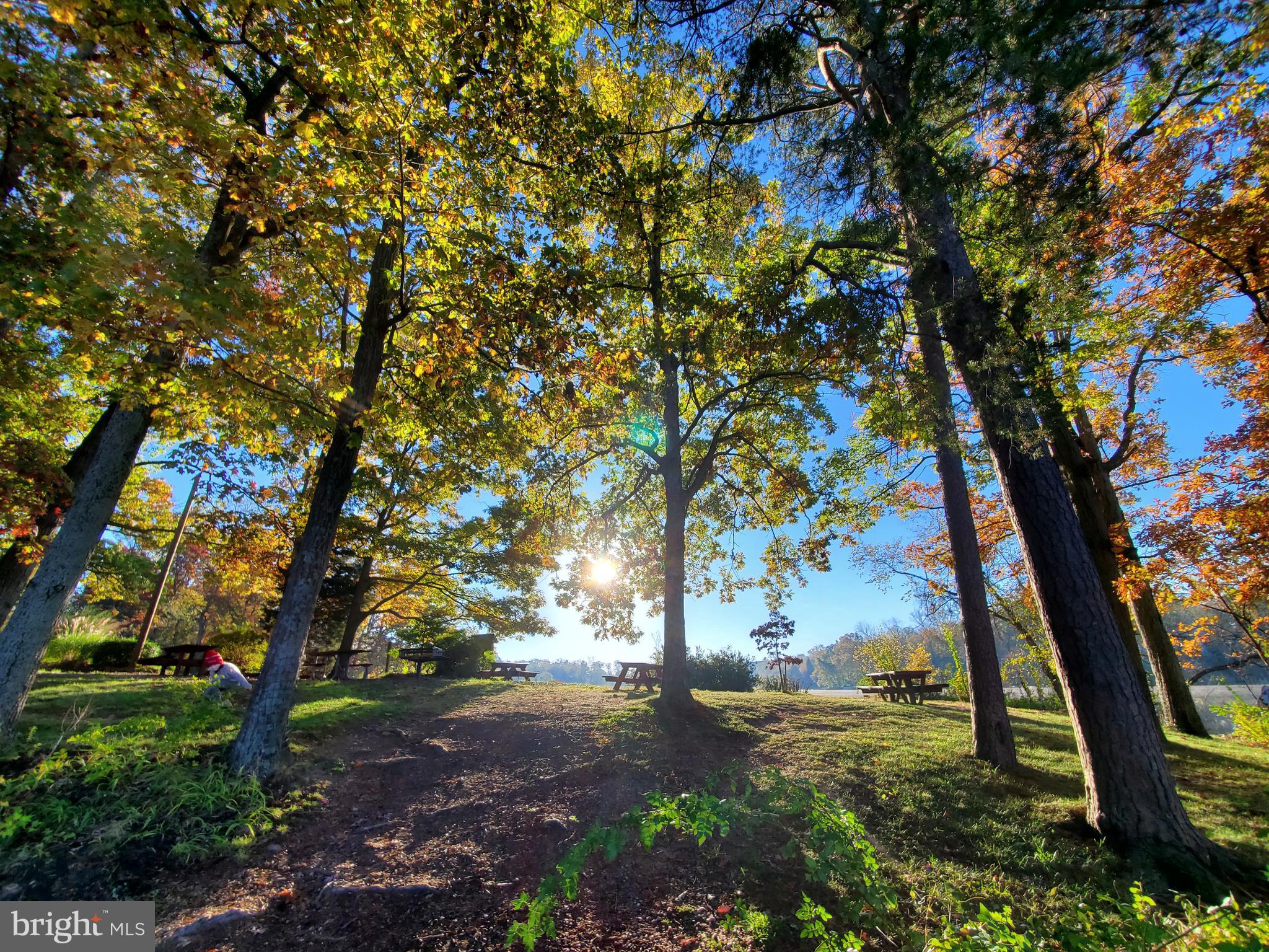 LAKE BARCROFT - Residential