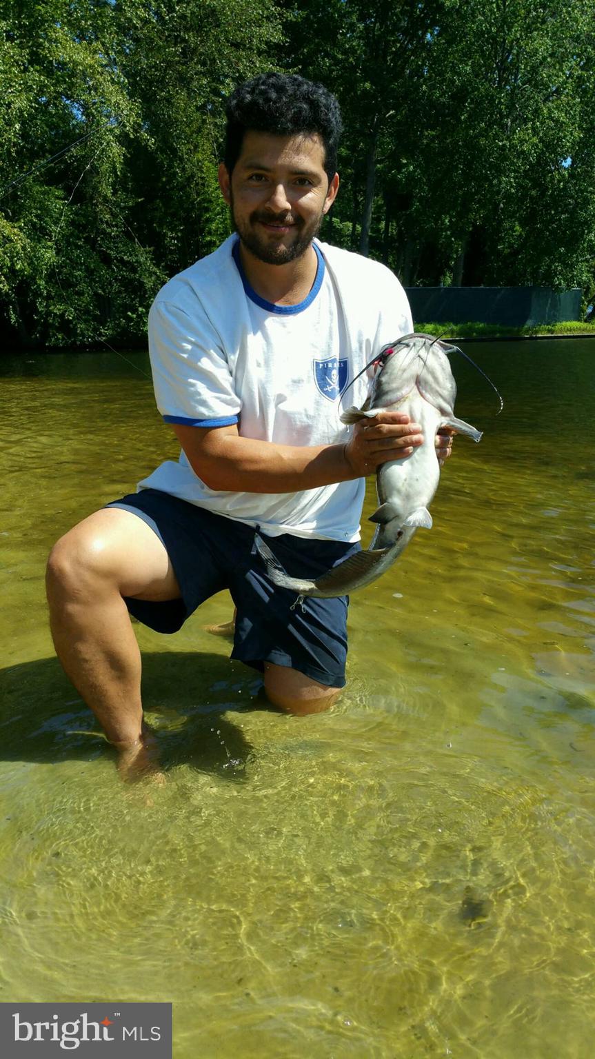 LAKE BARCROFT - Residential