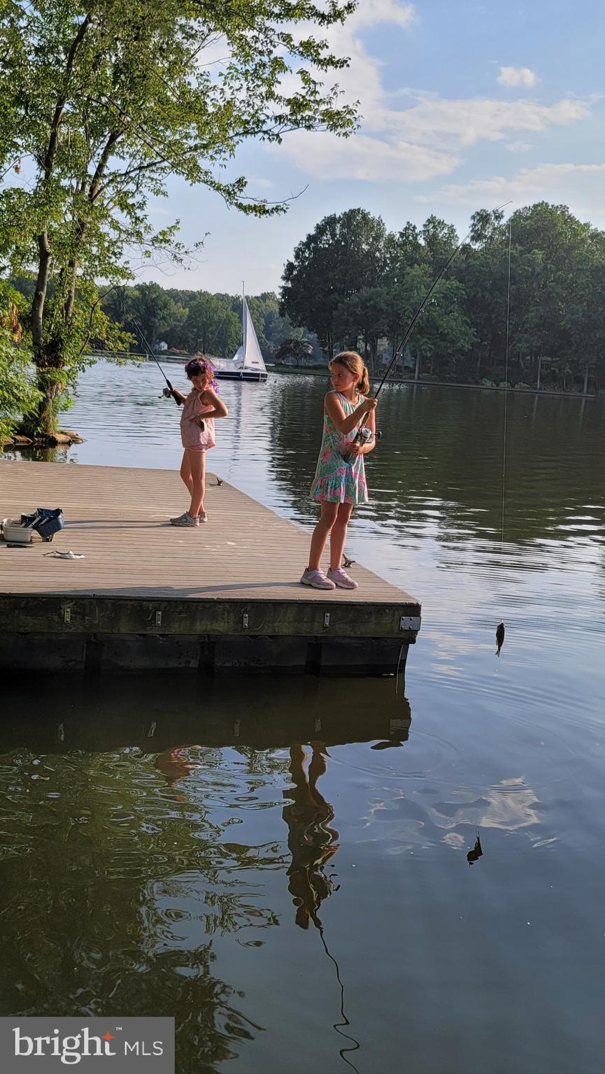 LAKE BARCROFT - Residential