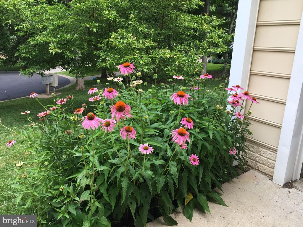 Photo of 6486 Onward Trail, CLARKSVILLE, MD 21029 (MLS # MDHW2058688)