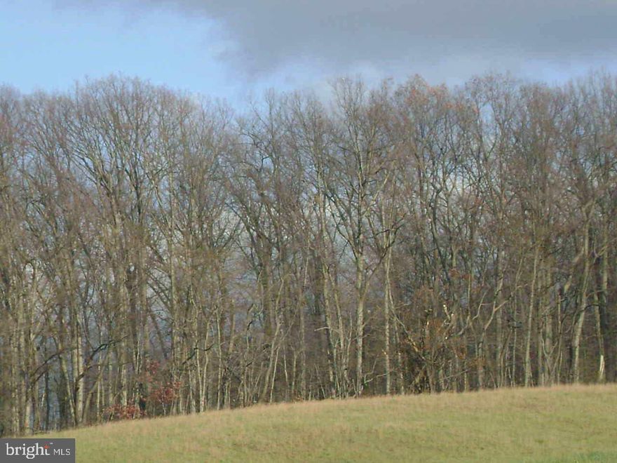 A rare find in Dallastown School District! Perfect place to come and build your dream home. This 5 acre wooded lot sits up on a hill where you will enjoy a peaceful setting that attracts deer and other wildlife plus provides world class views! Gas line is extended up the road by the driveway, electric is currently at the neighboring house or could possibly be run down from the cul-de-sac (check with township). Lot would need a septic system (check with township for type of system).   Conveniently located to I-83, shopping & dining!