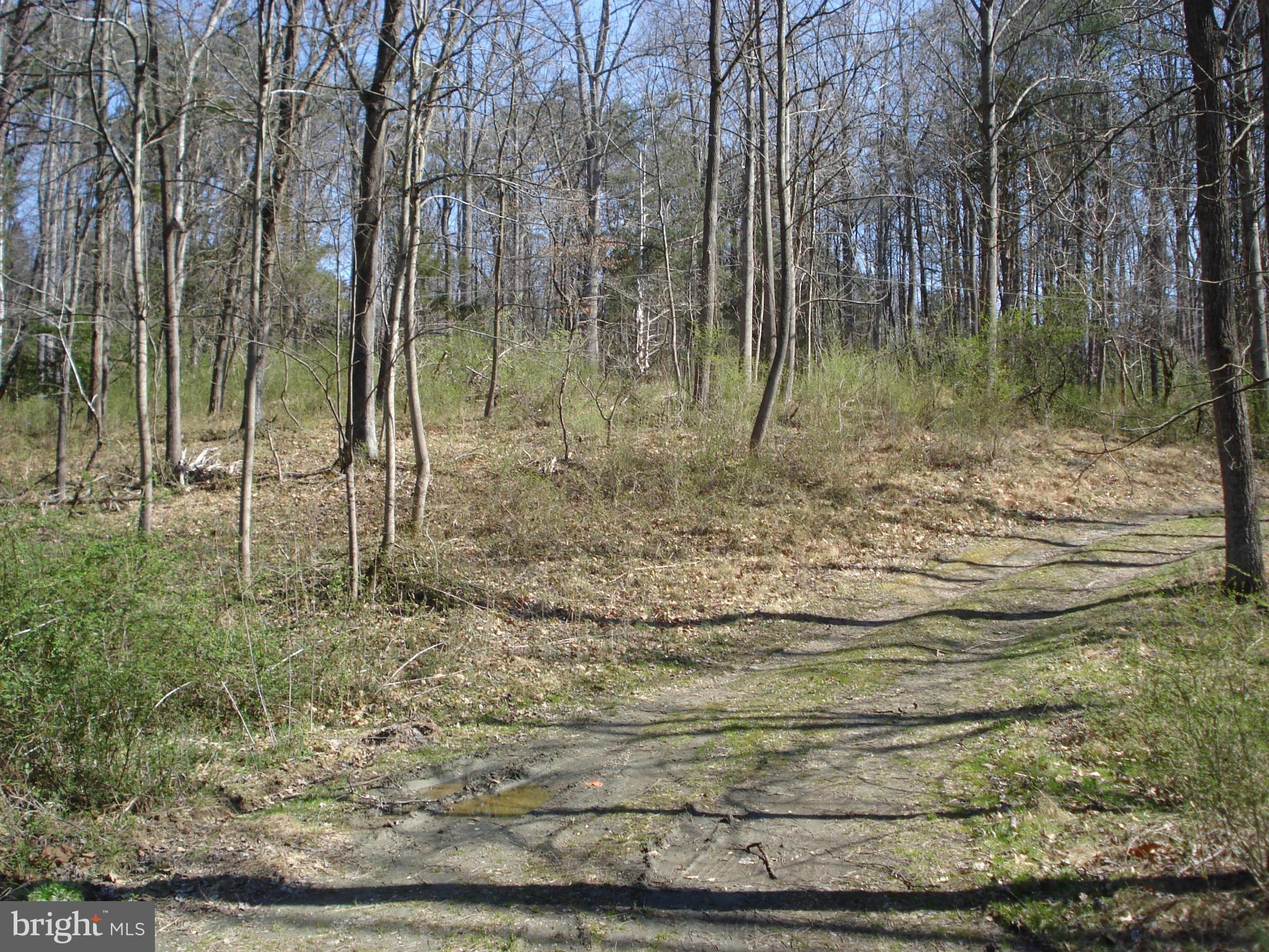 ANGELICA WOODS - Residential