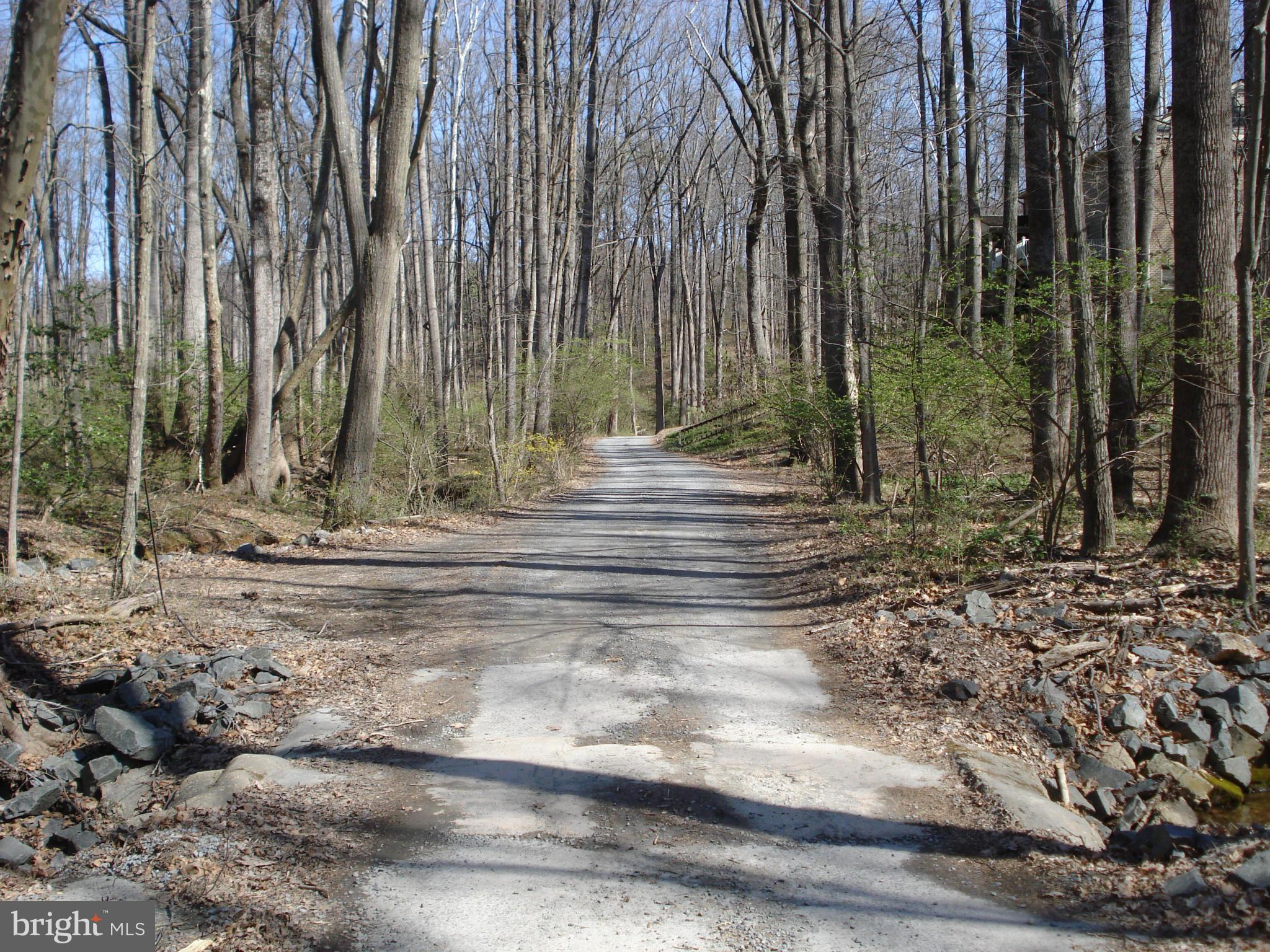 ANGELICA WOODS - Residential