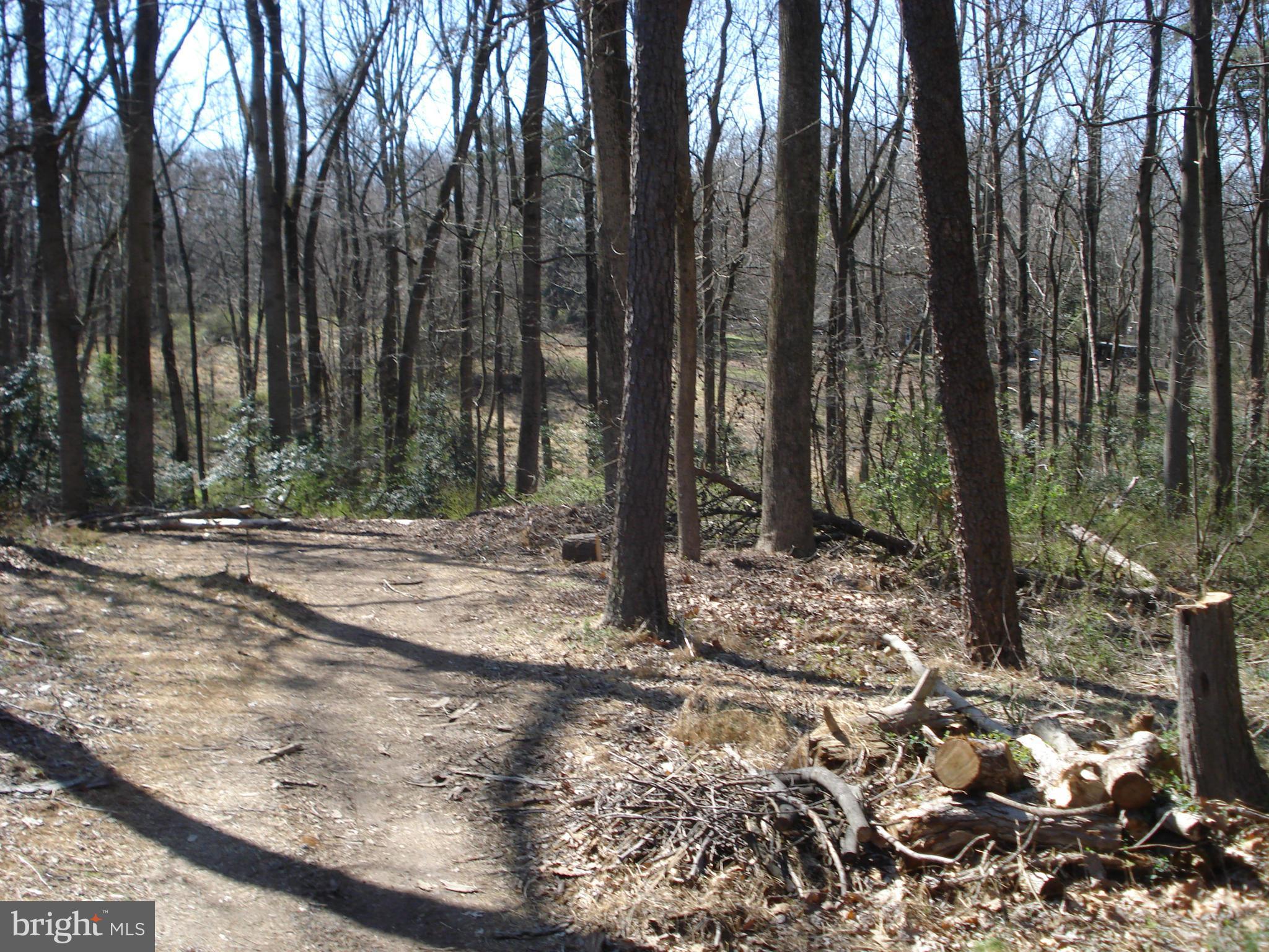 ANGELICA WOODS - Residential