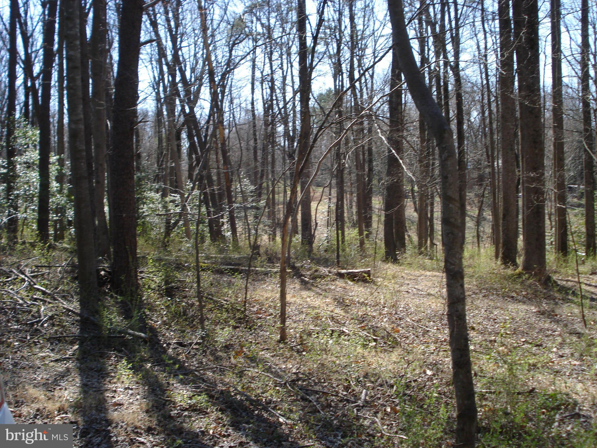 ANGELICA WOODS - Residential