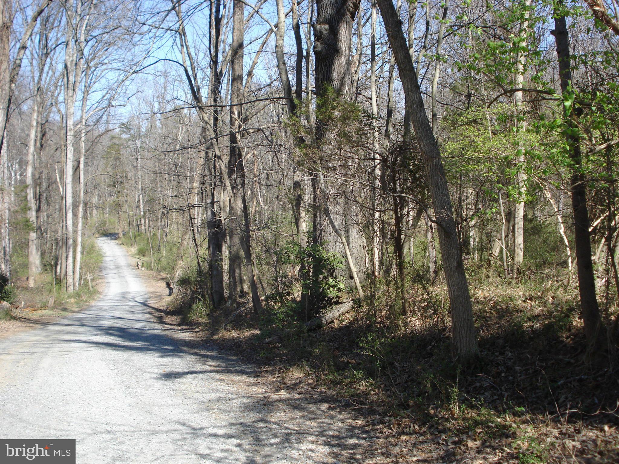 ANGELICA WOODS - Residential