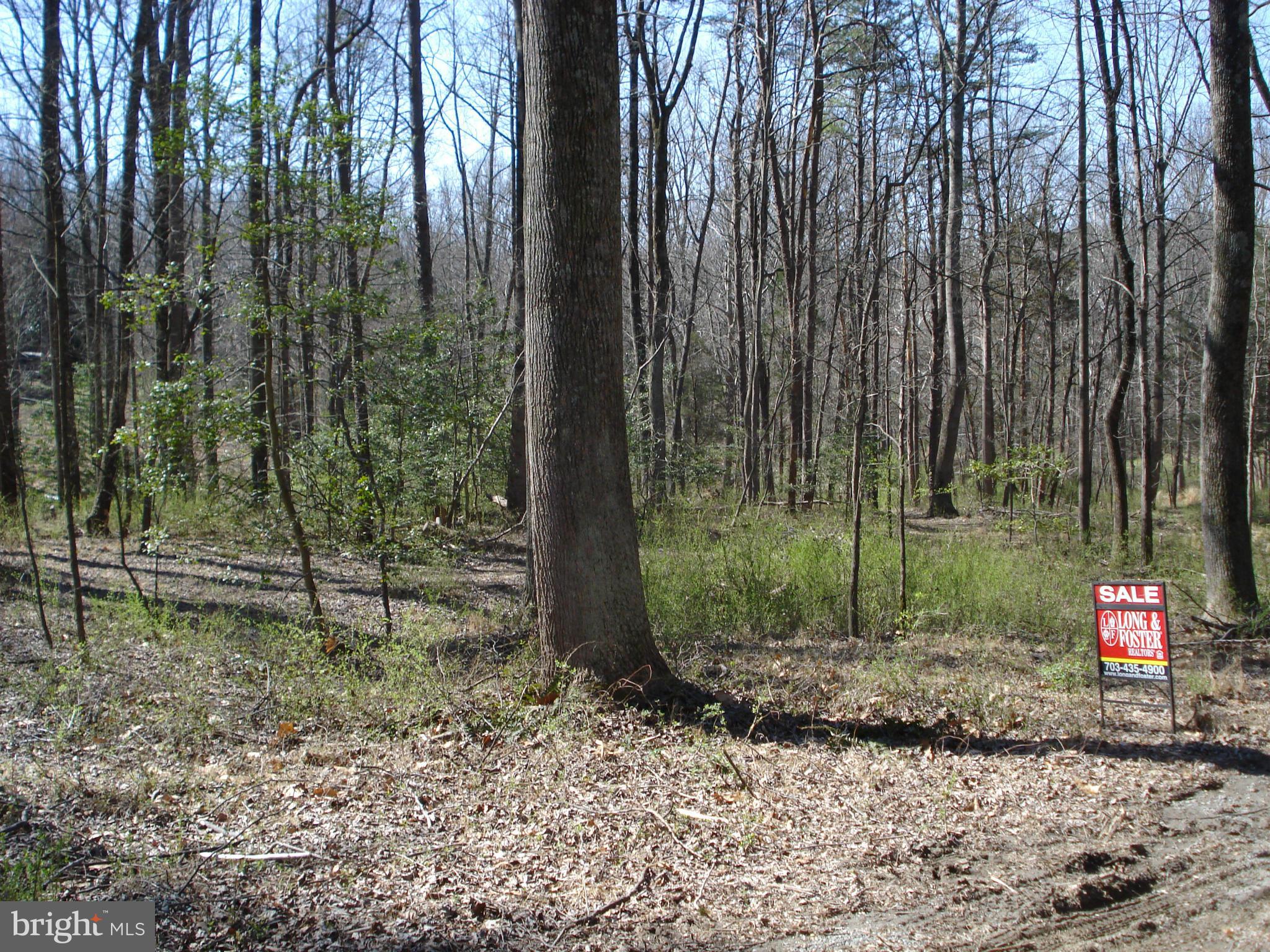 ANGELICA WOODS - Residential