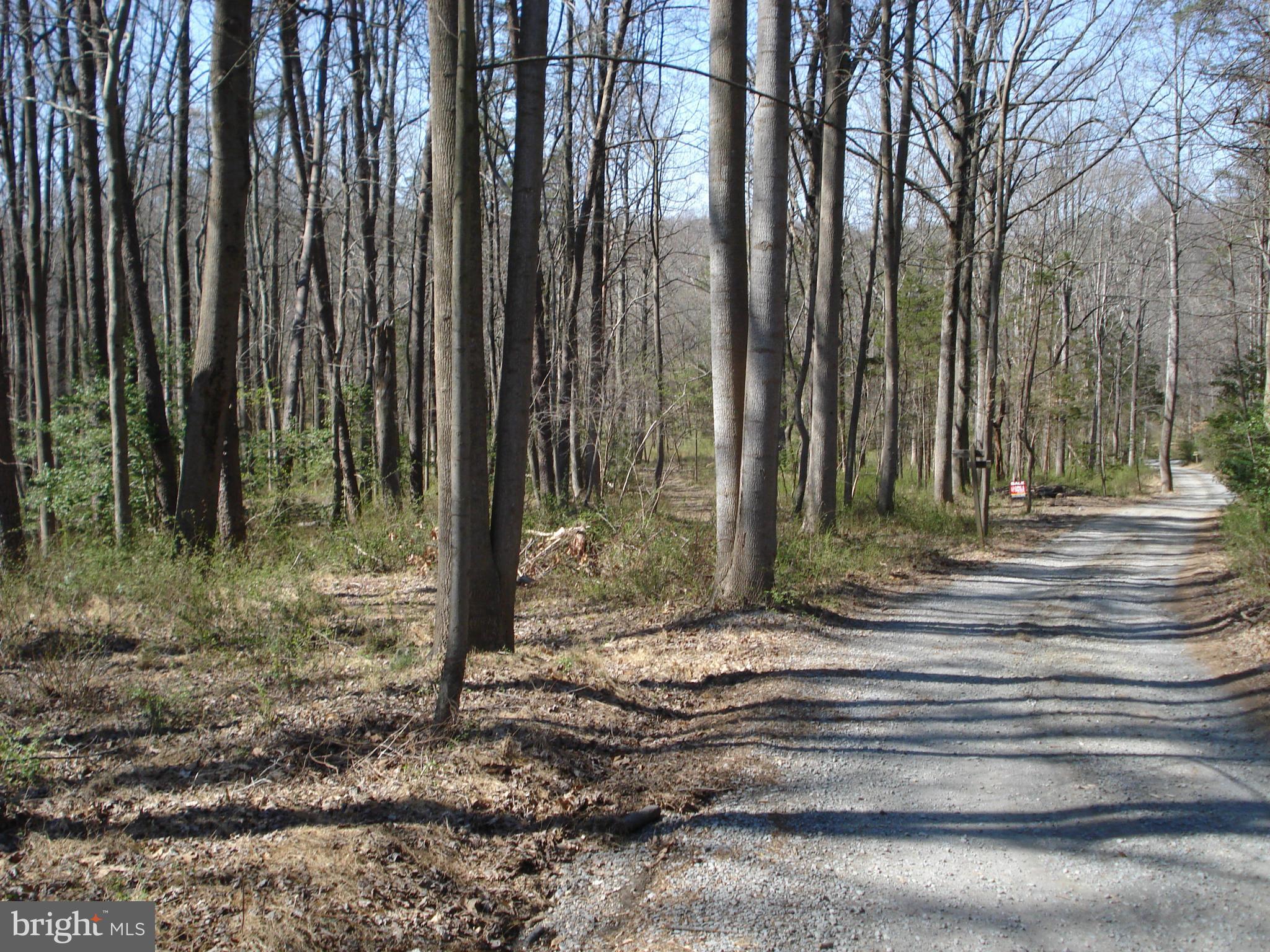 ANGELICA WOODS - Residential