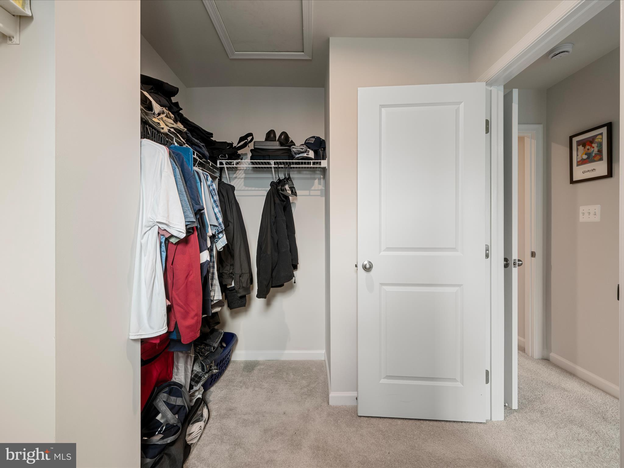 CARDINAL POINTE - Residential