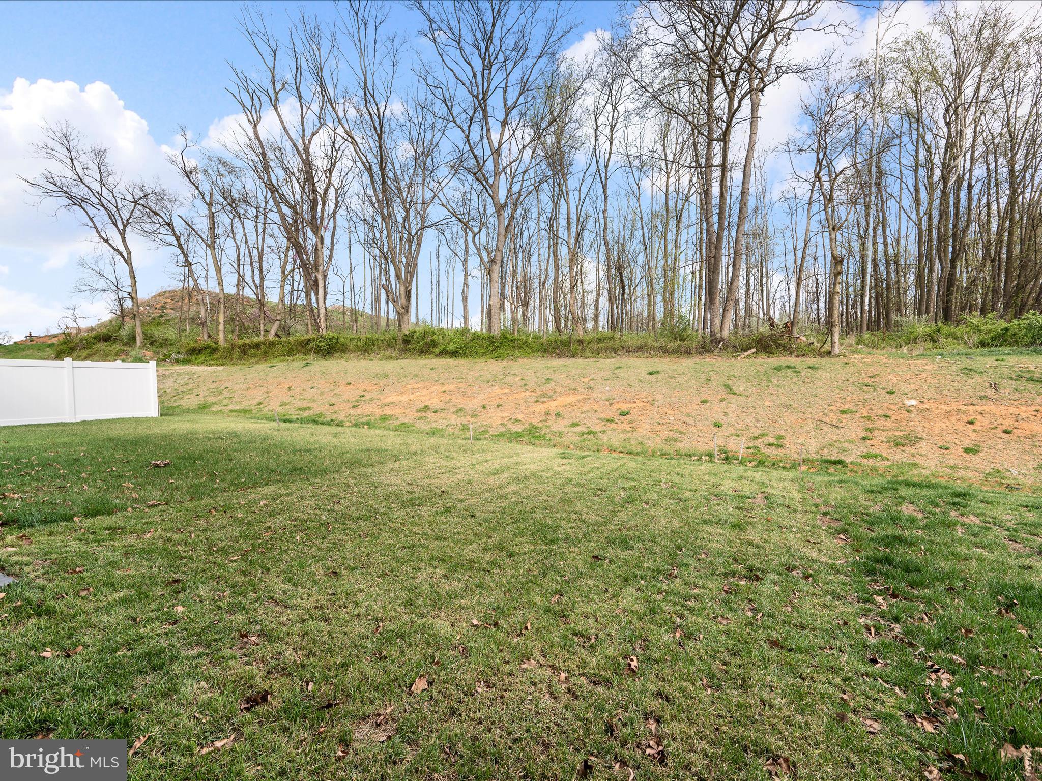 CARDINAL POINTE - Residential