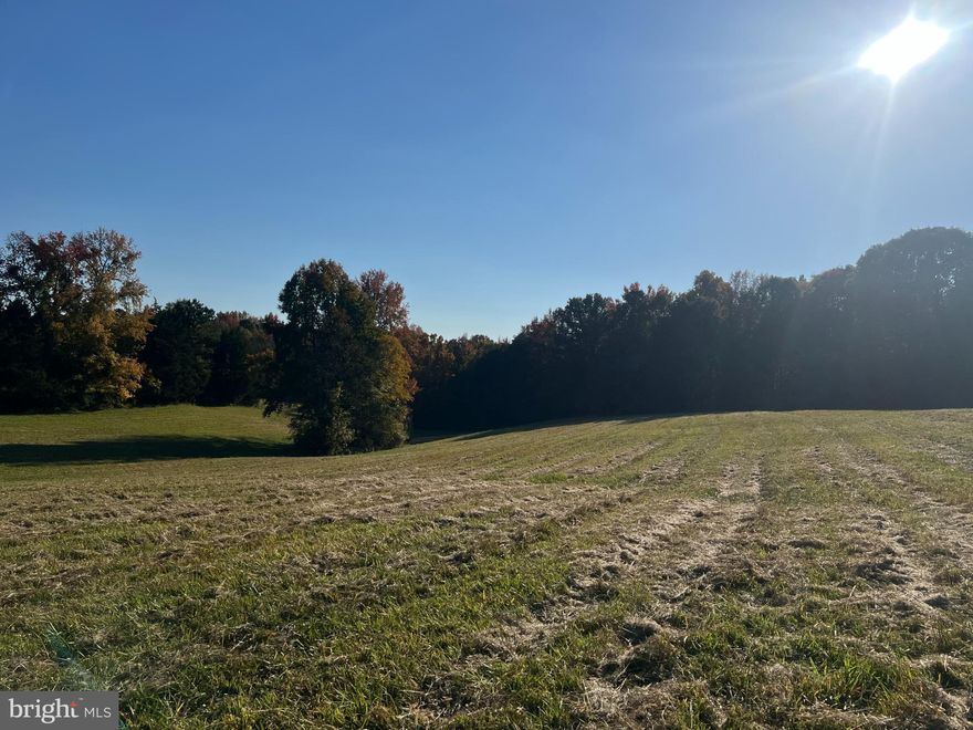 The Banister 2 tract is located on N terrys bridge rd with approximately 1,000 feet of frontage. This property has roughly 10 acres of pasture land with the remainder being comprised of mixed hardwoods and creek bottoms. This tract backs up to the banister river and Corps of Engineer land which allows for pedestrian use and access to thousands of acres along the river. This would be a perfect place to build a home and have a small farm or just use for recreational purposes with wildlife being abundant throughout the property.