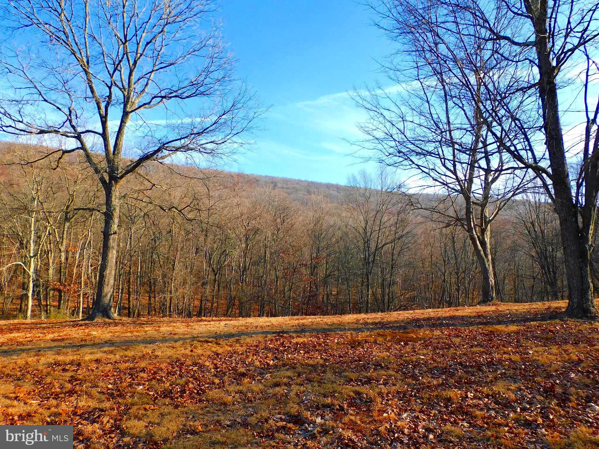 Electricity is ran to the property. Backing to the Sleepy Creek Wildlife Management Area so no development above you, this 25.29 acre lot is your opportunity has arrived to own a piece of heaven in the gorgeous mountains of West Virginia. Quiet, serene, beautiful and amazing are just a few of the descriptive words that come to mind when standing on this property. Ideal for a mountain get away or your own private hunting grounds. ADDITIONAL 33.19 ACRES ADJOINING IS ALSO AVAILABLE - MLS ID WVMO2002646. Trailers on lots convey.