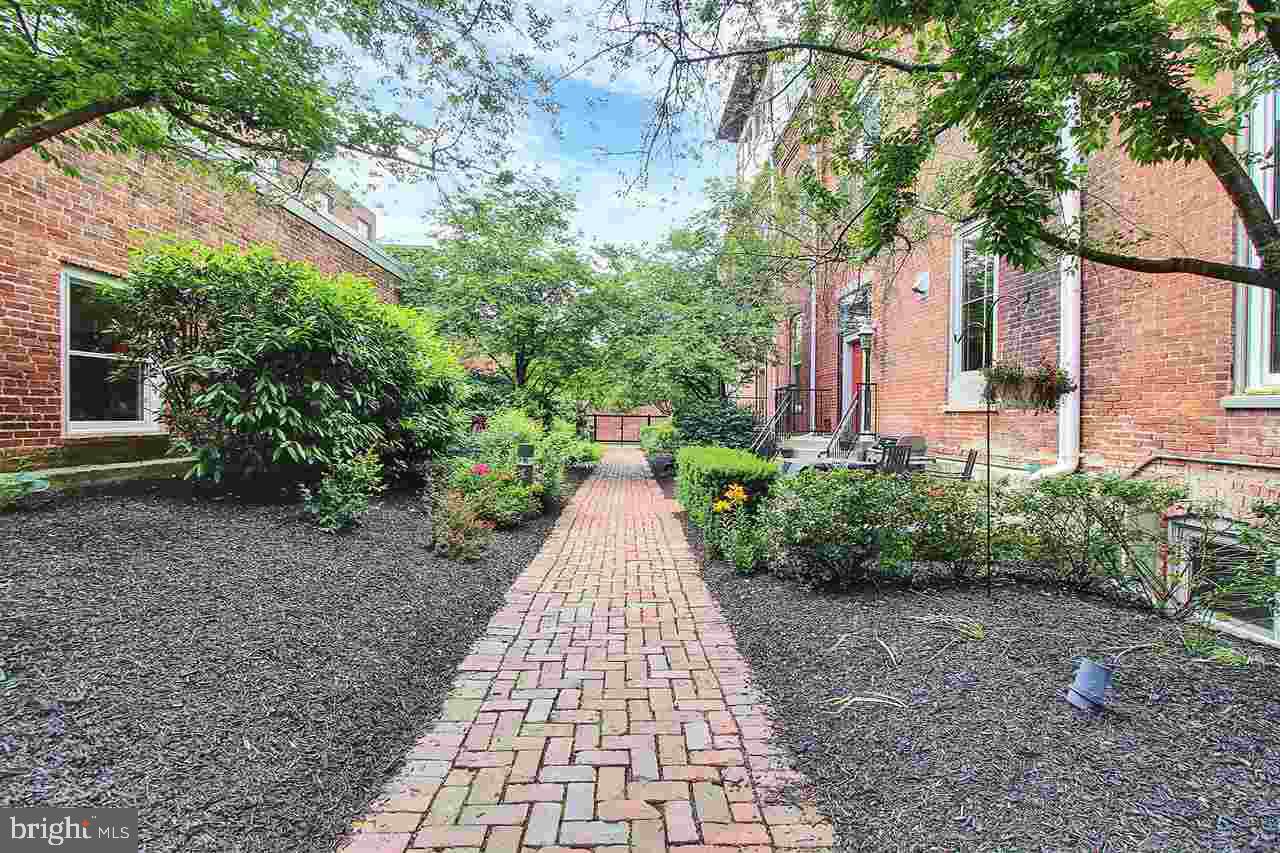 THE LOFTS - Residential