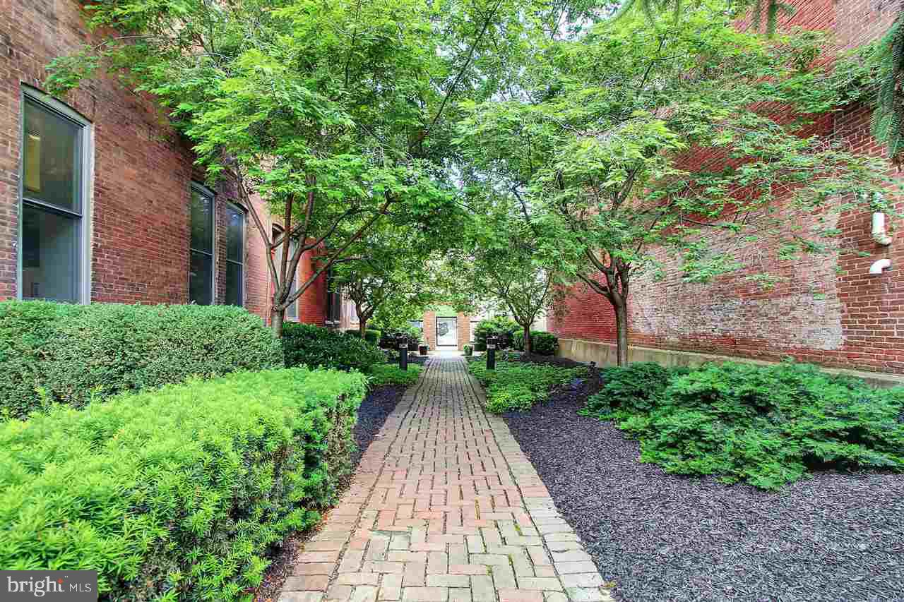 THE LOFTS - Residential