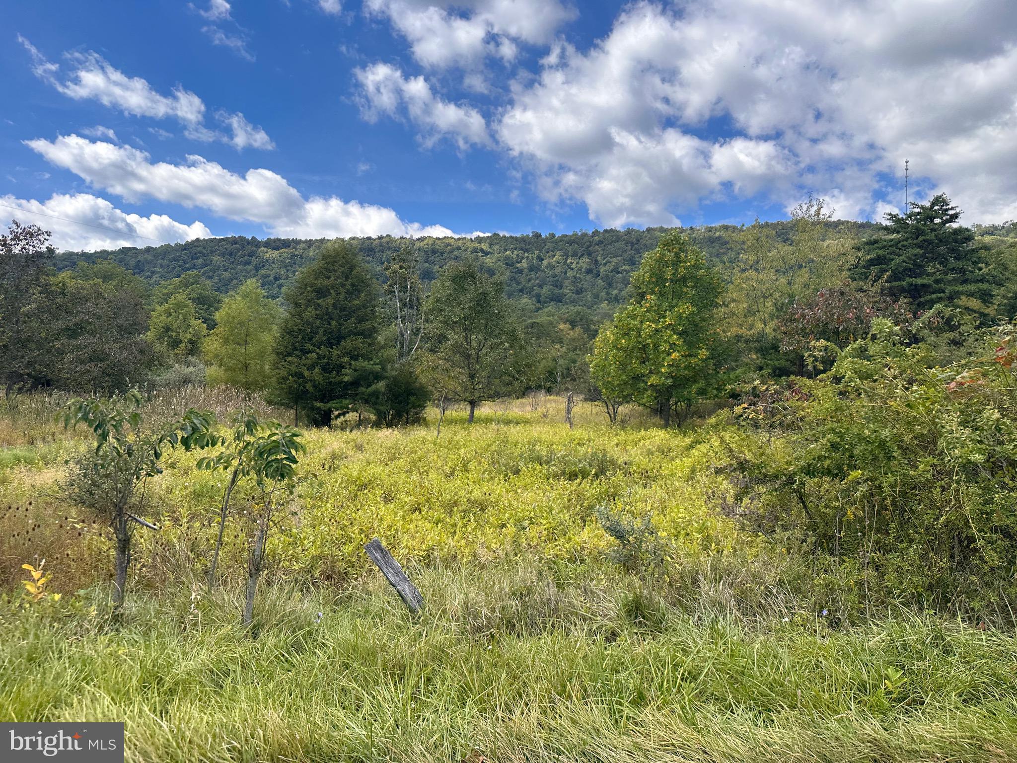 MINERAL COUNTY, WV – 1.25 ACRES OF LAND WITH ABUNDANCE OF BUILDING SITES DEEP WITHIN THE PRIVACY OF SECLUSION FRONTING ON HEADSVILLE ROAD GREAT FOR HOME RECREATION OR HUNTING. LOW WV TAXES.