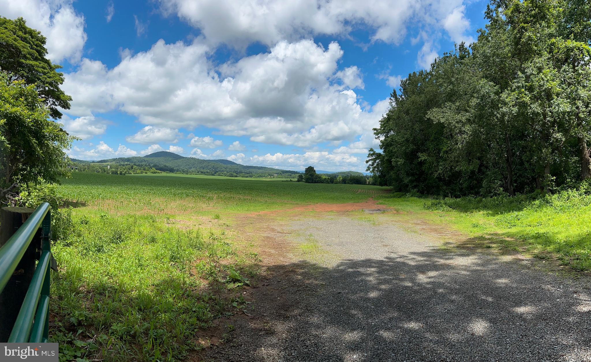 NONE AVAILABLE - Farm