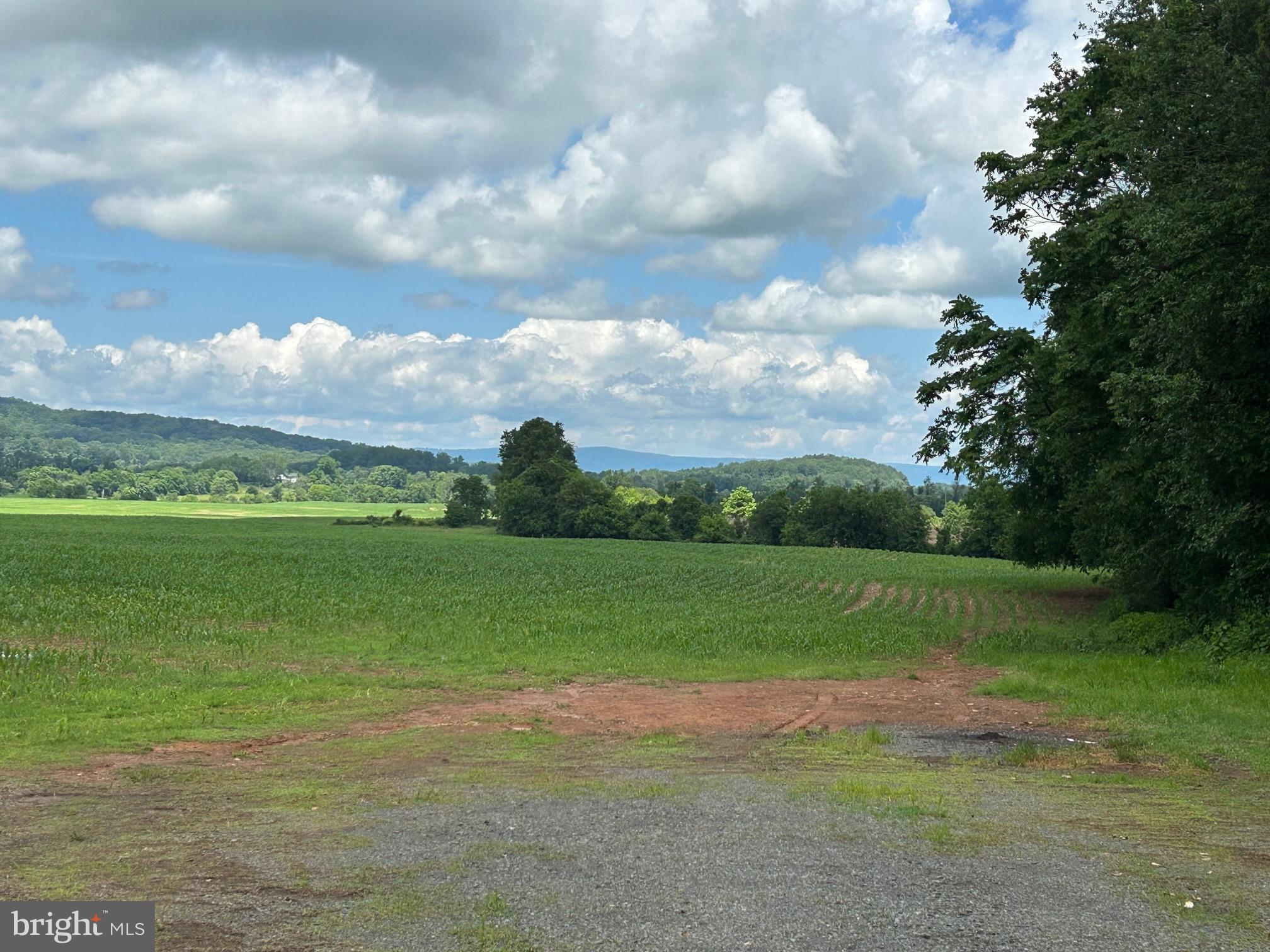 NONE AVAILABLE - Farm