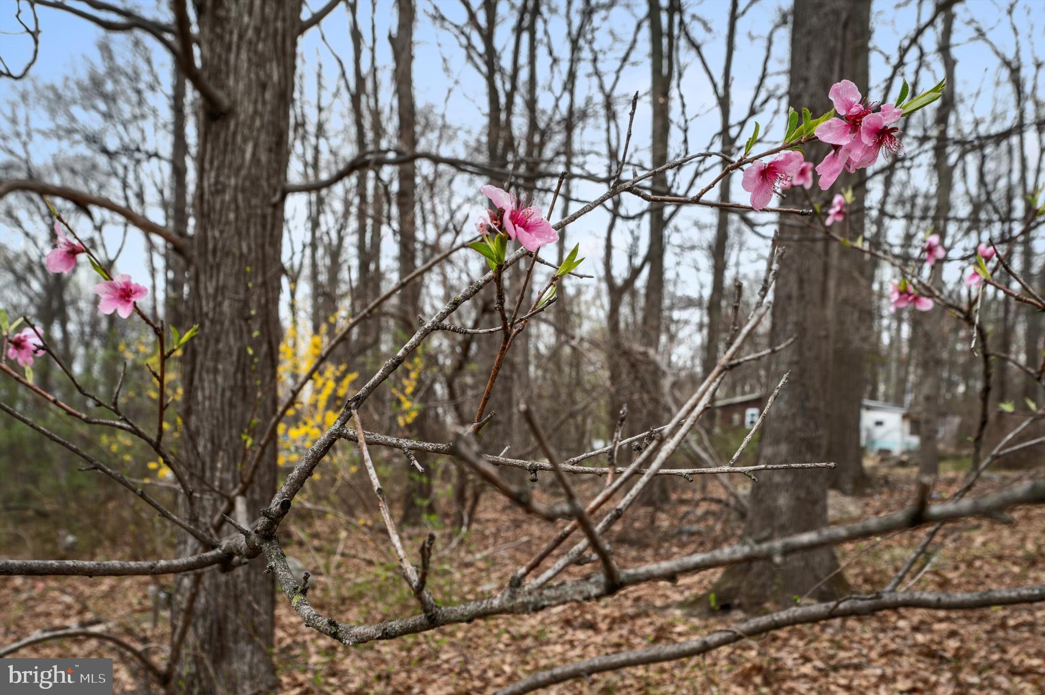 WEST RIDGE HILLS - Land