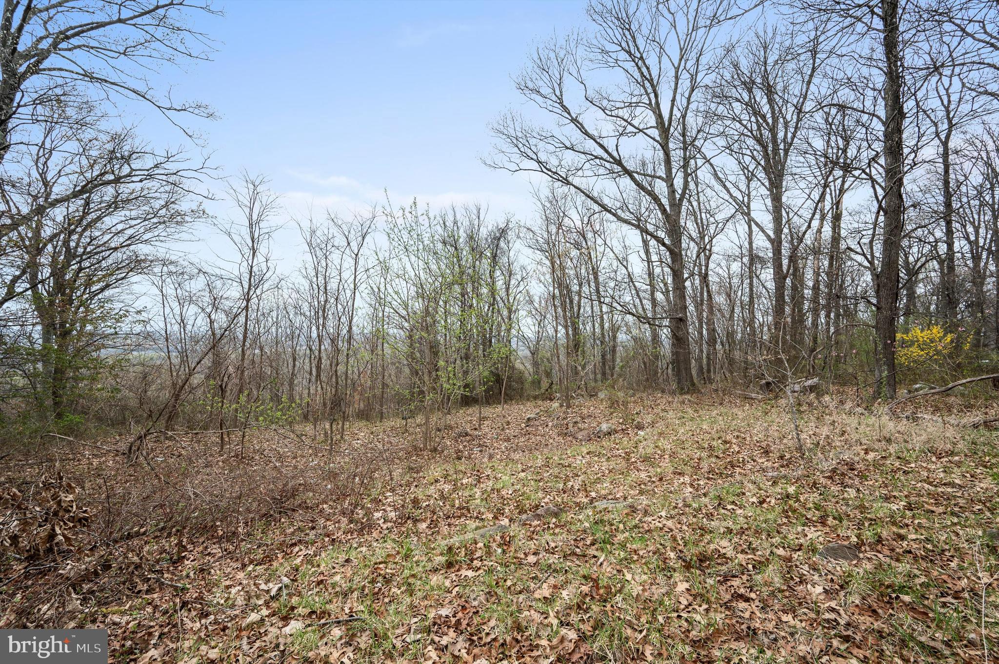 WEST RIDGE HILLS - Land