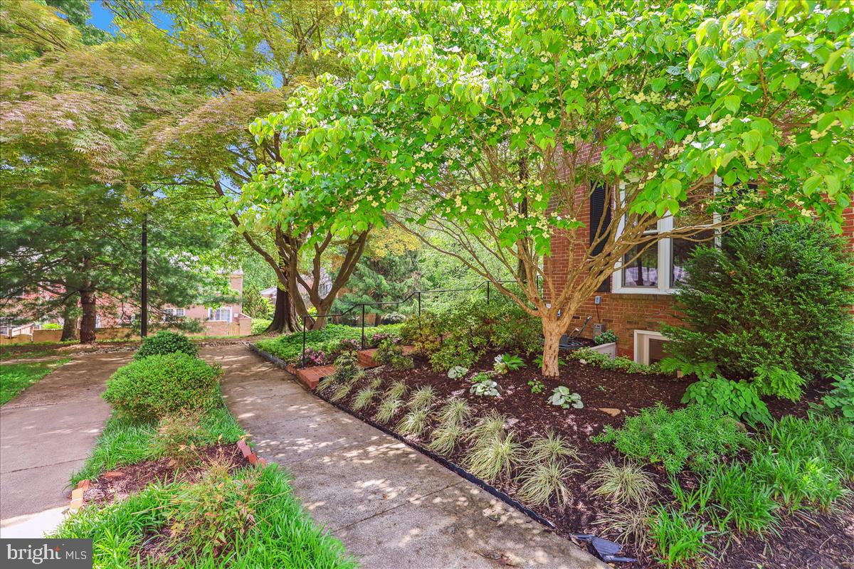 WESTMORELAND SQUARE - Residential