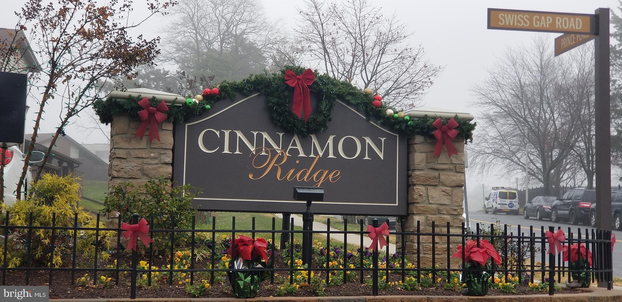 CINNAMON RIDGE CONDO - Residential
