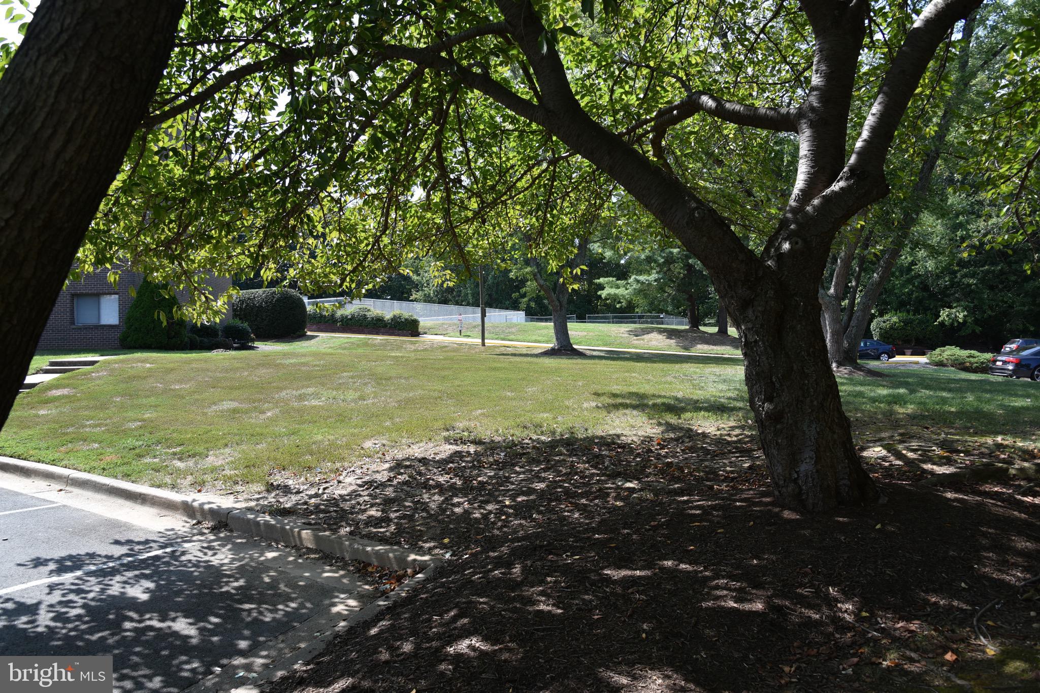 OCCOQUAN RIDGE CONDO - Residential