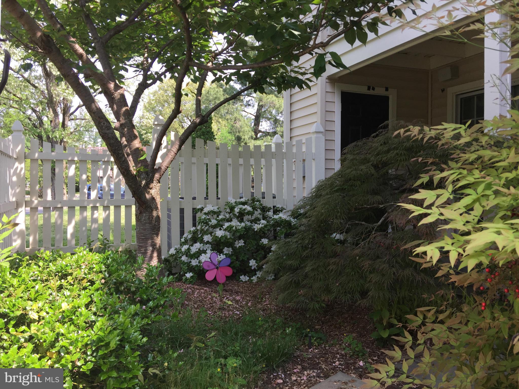 TREVOR HOUSE - Residential Lease