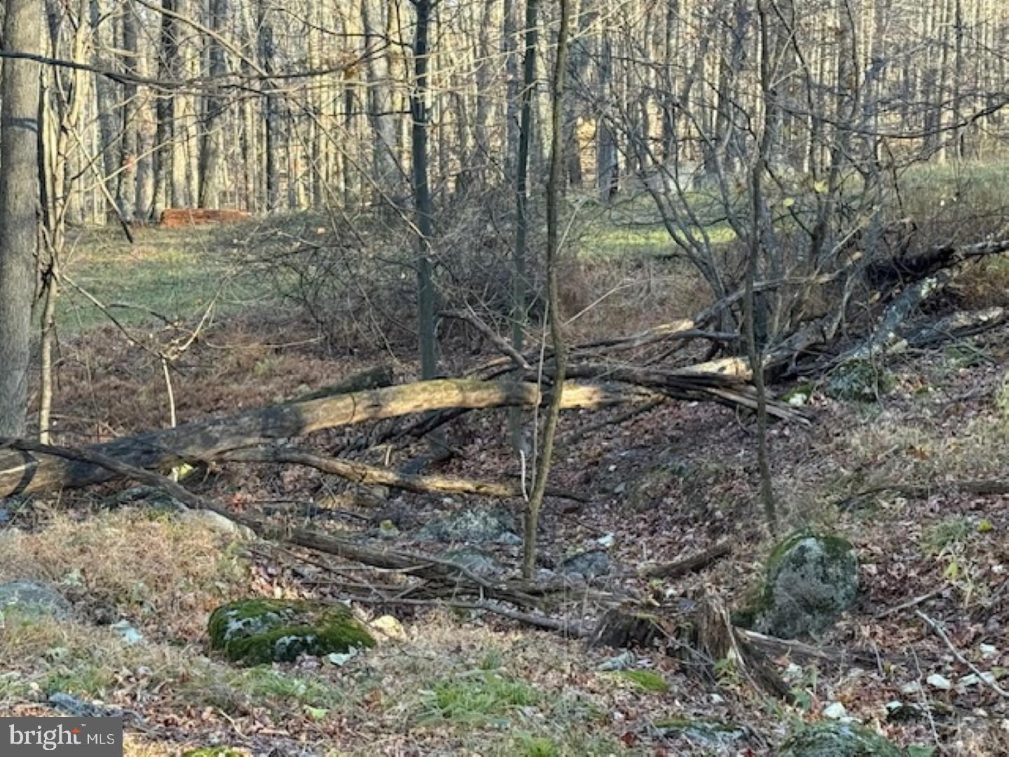 RETREAT AT DOLLY SODS - Land