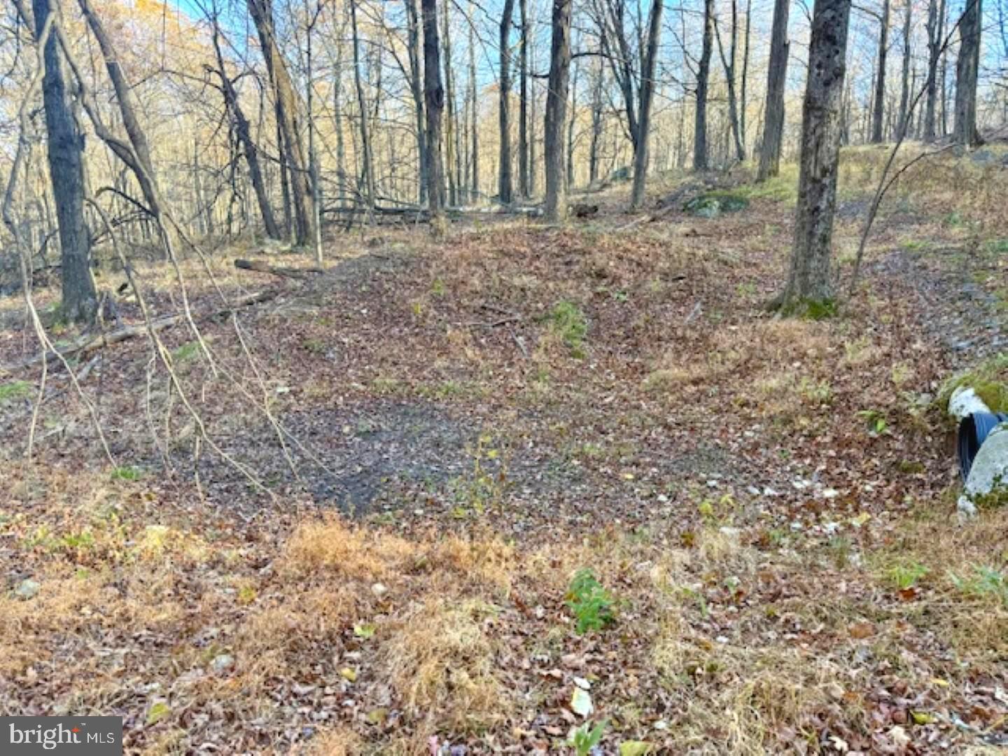 RETREAT AT DOLLY SODS - Land