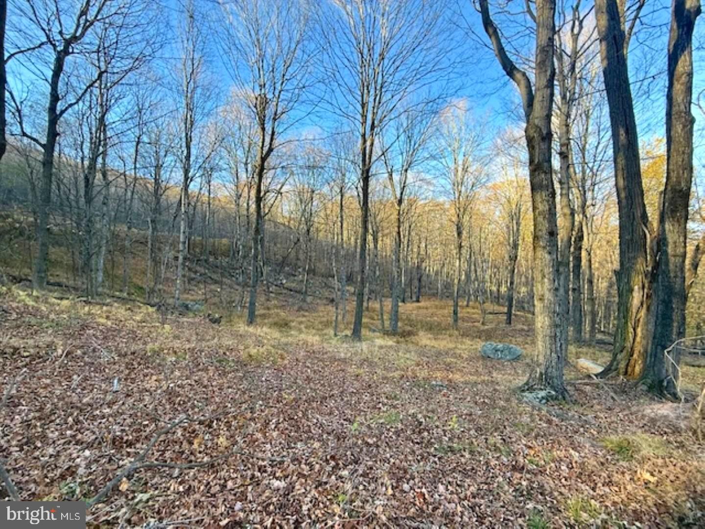 RETREAT AT DOLLY SODS - Land