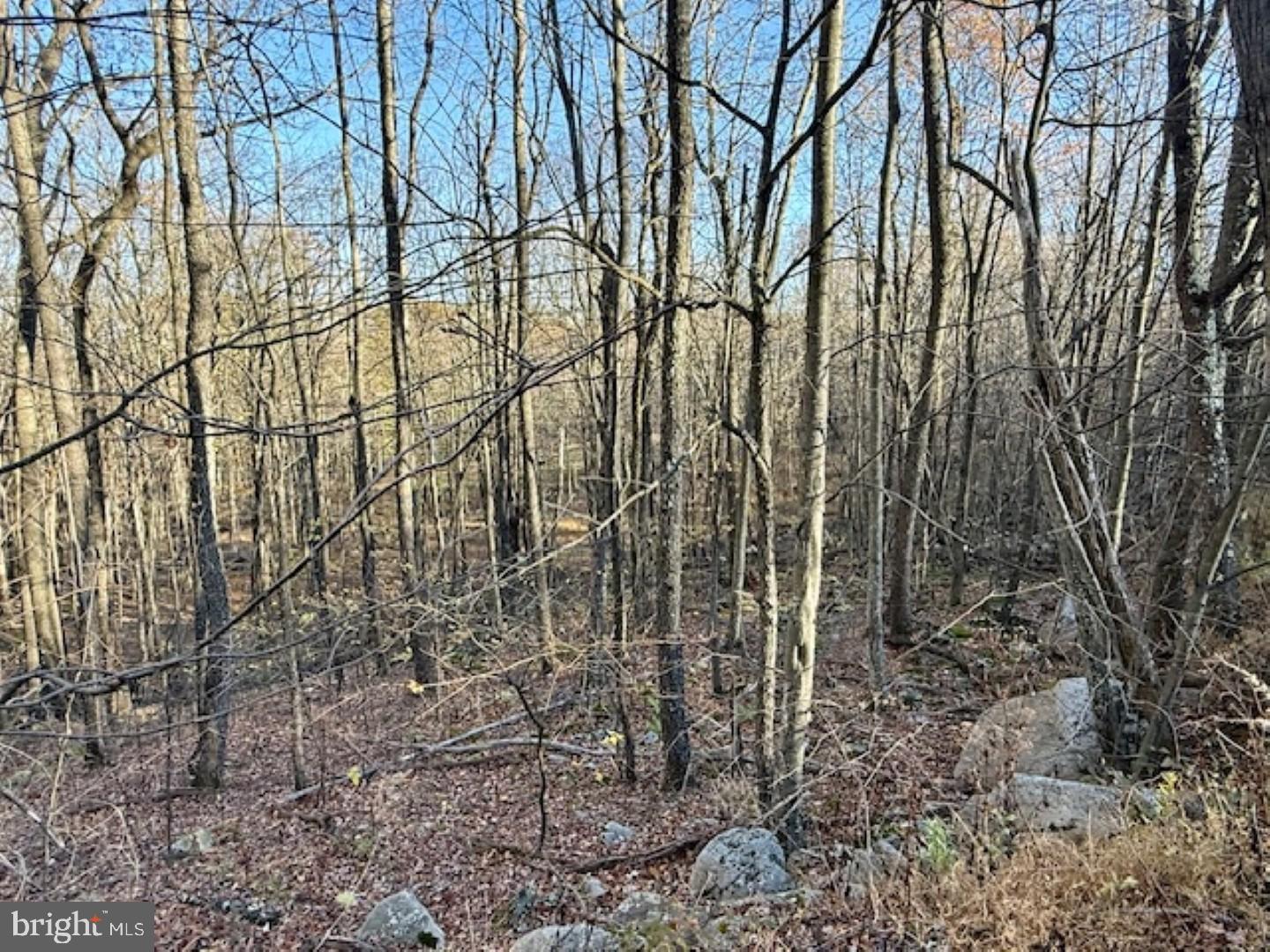 RETREAT AT DOLLY SODS - Land