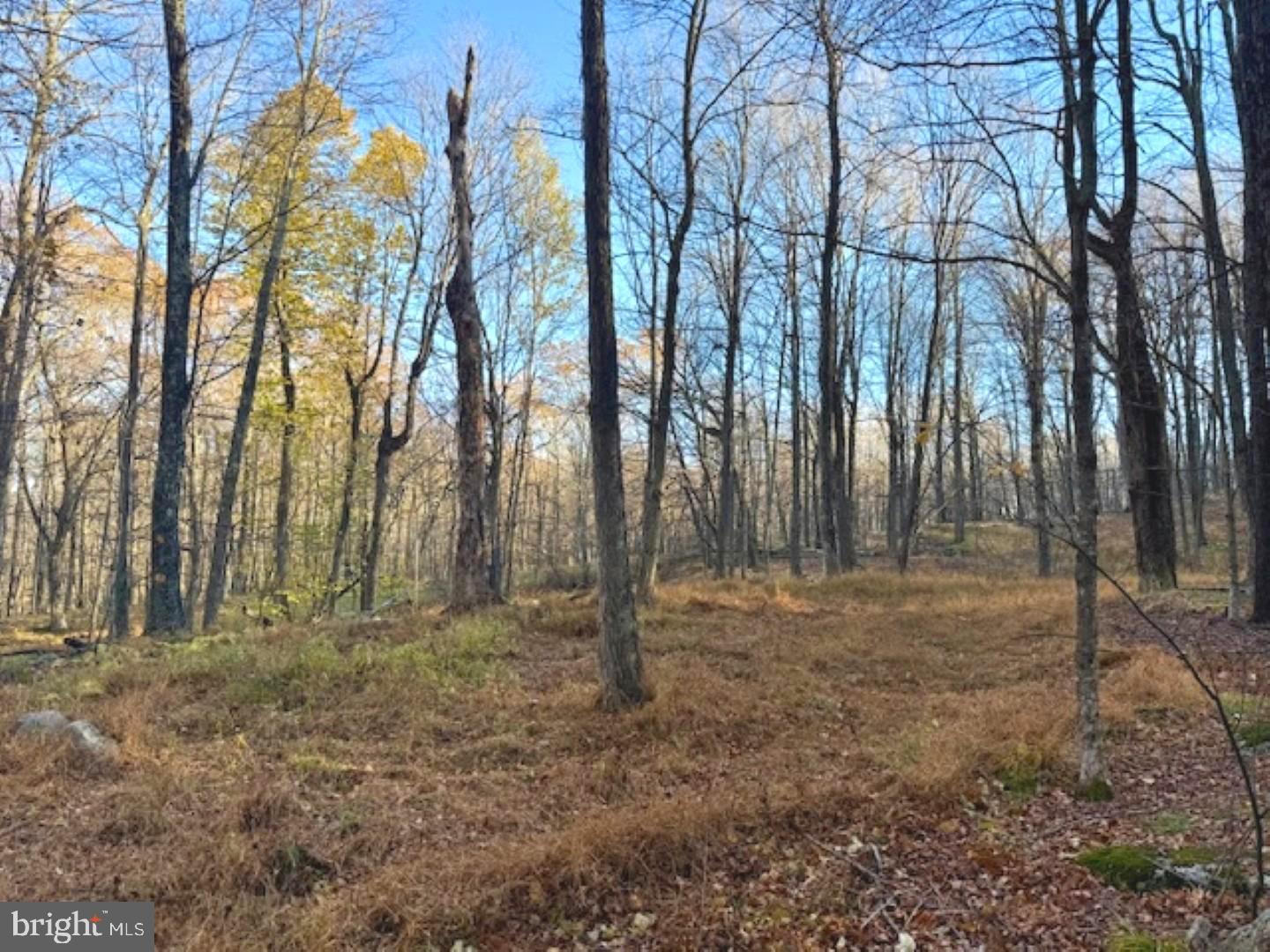 RETREAT AT DOLLY SODS - Land