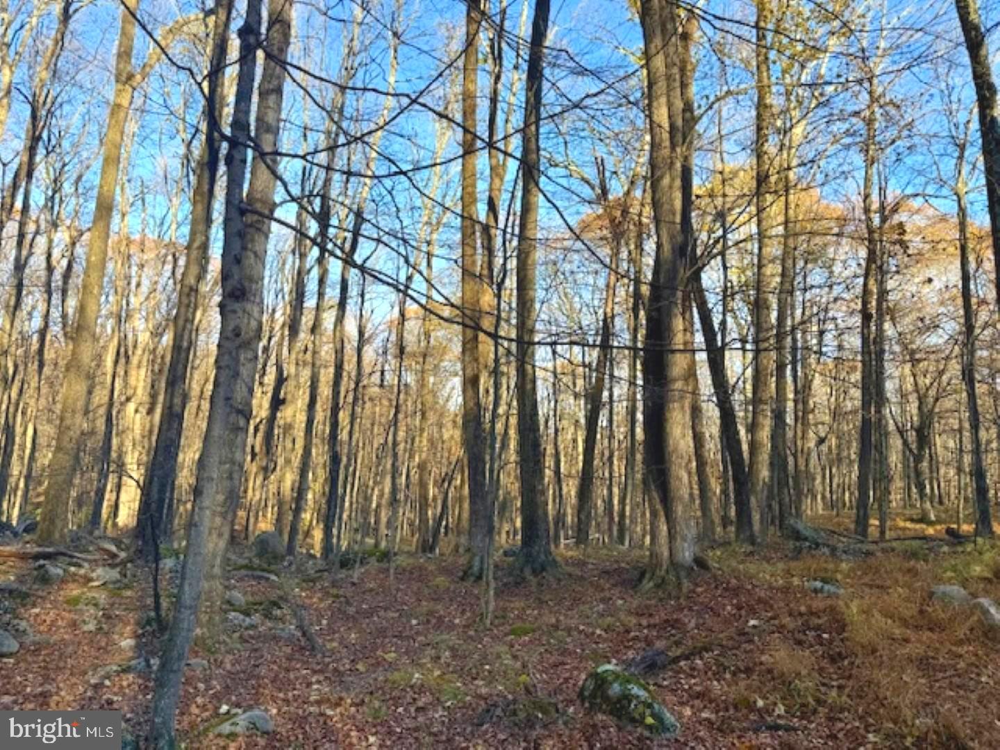 RETREAT AT DOLLY SODS - Land