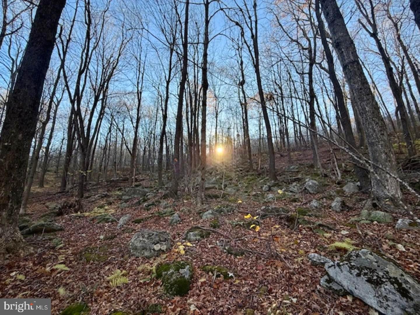 RETREAT AT DOLLY SODS - Land