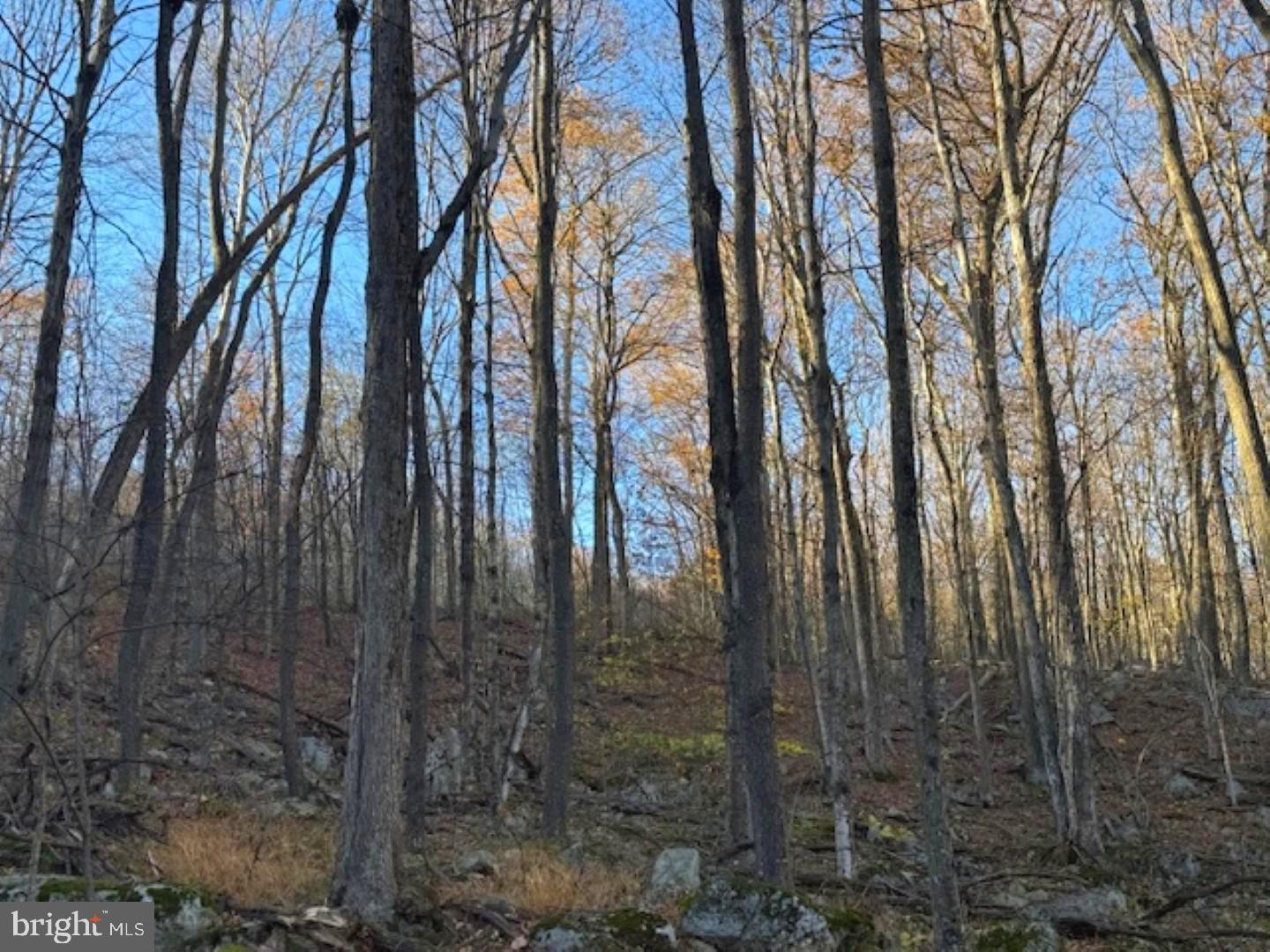 RETREAT AT DOLLY SODS - Land