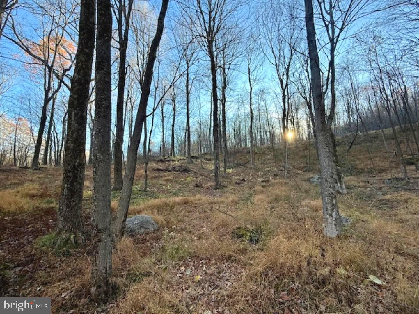 RETREAT AT DOLLY SODS - Land