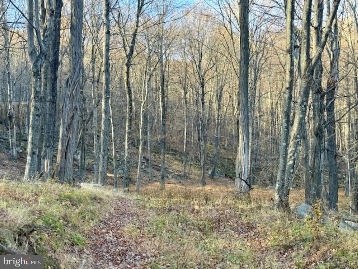 RETREAT AT DOLLY SODS - Land