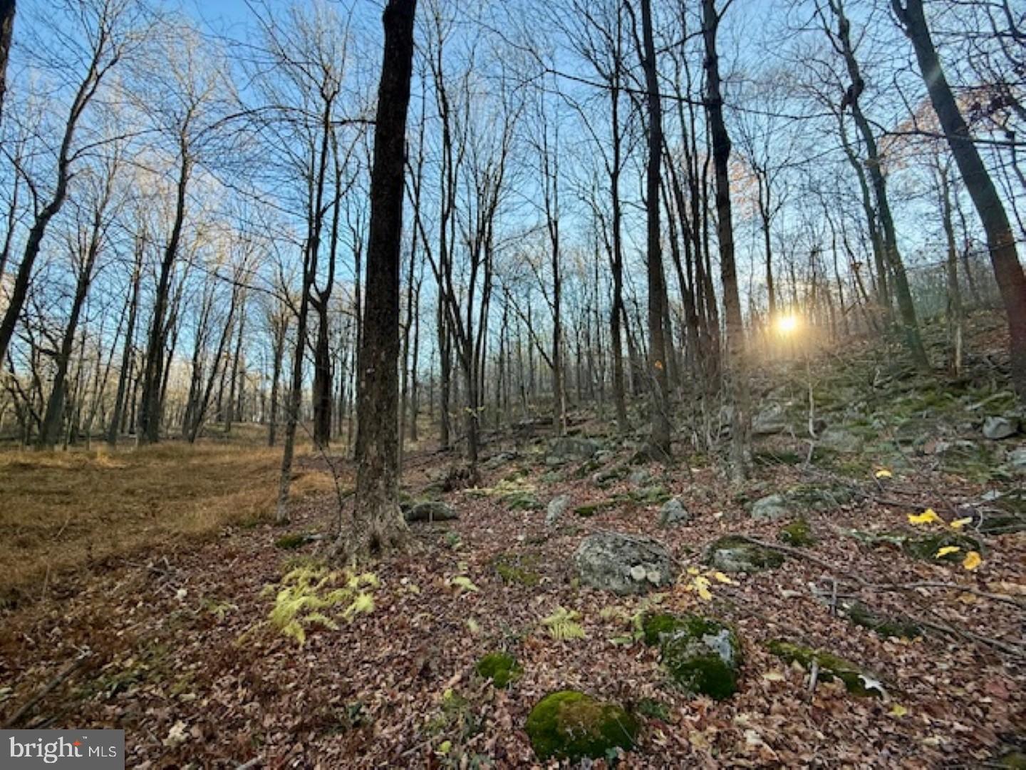 RETREAT AT DOLLY SODS - Land