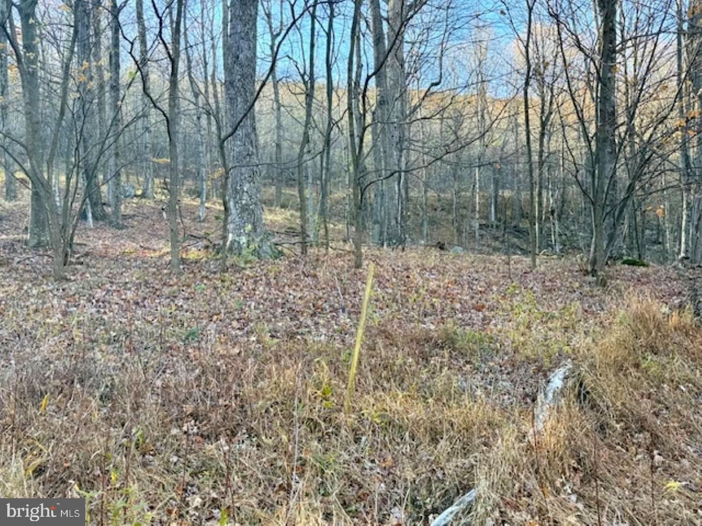 RETREAT AT DOLLY SODS - Land