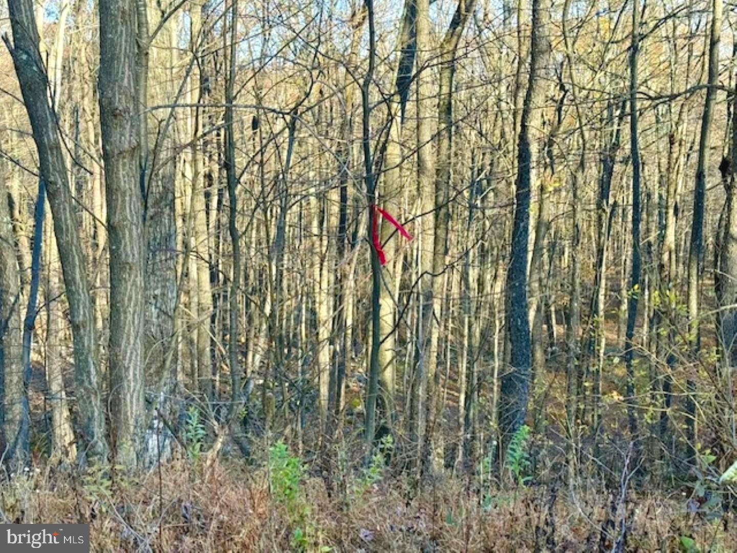 RETREAT AT DOLLY SODS - Land