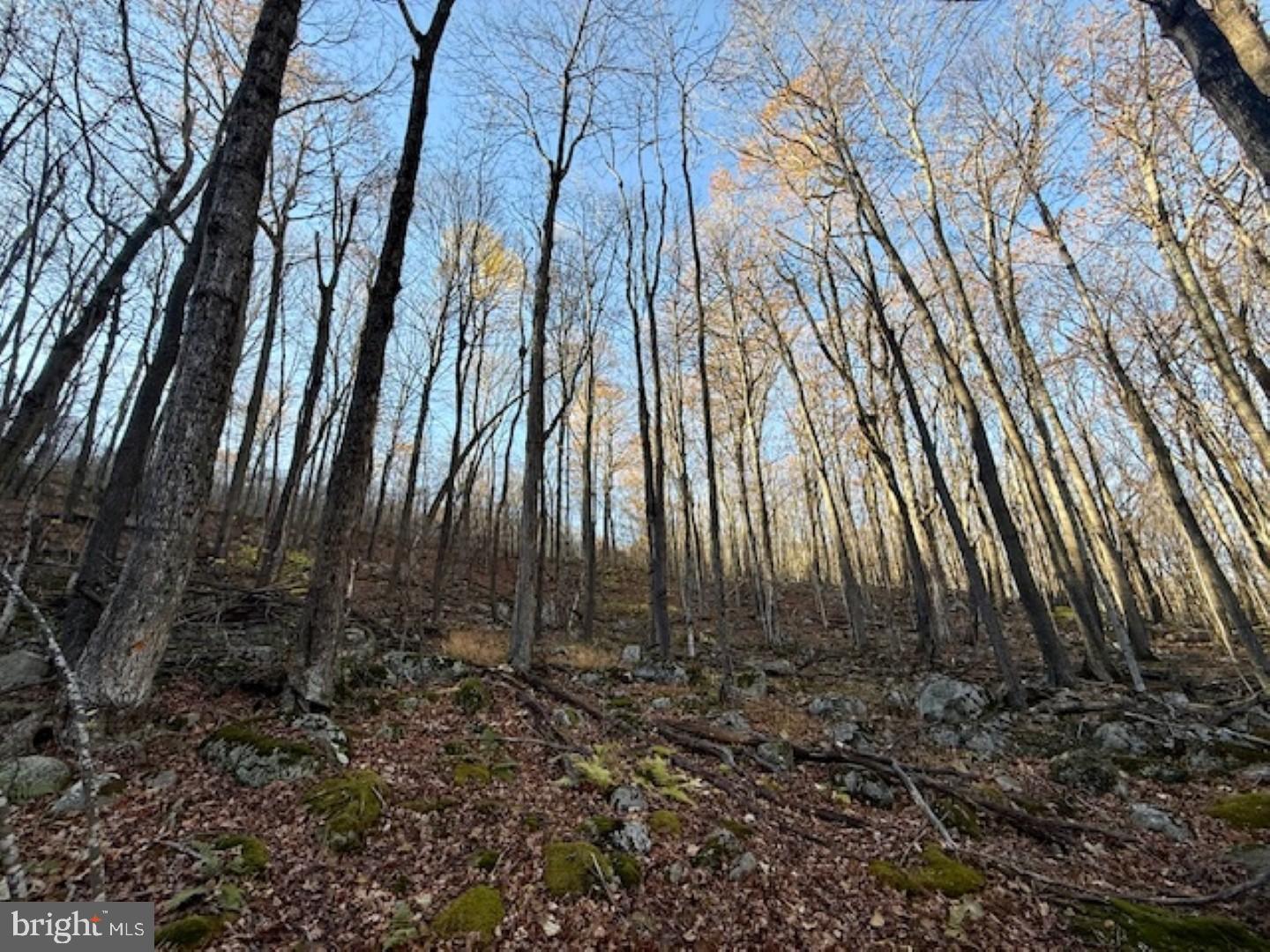 RETREAT AT DOLLY SODS - Land