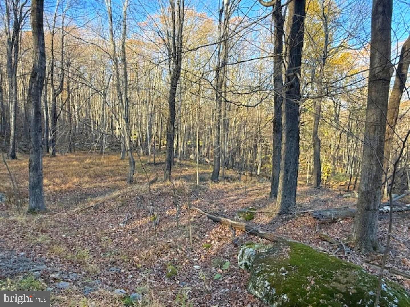 RETREAT AT DOLLY SODS - Land