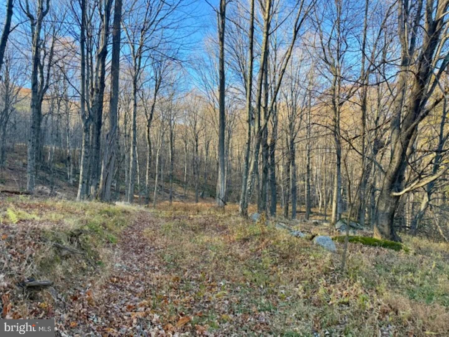 RETREAT AT DOLLY SODS - Land