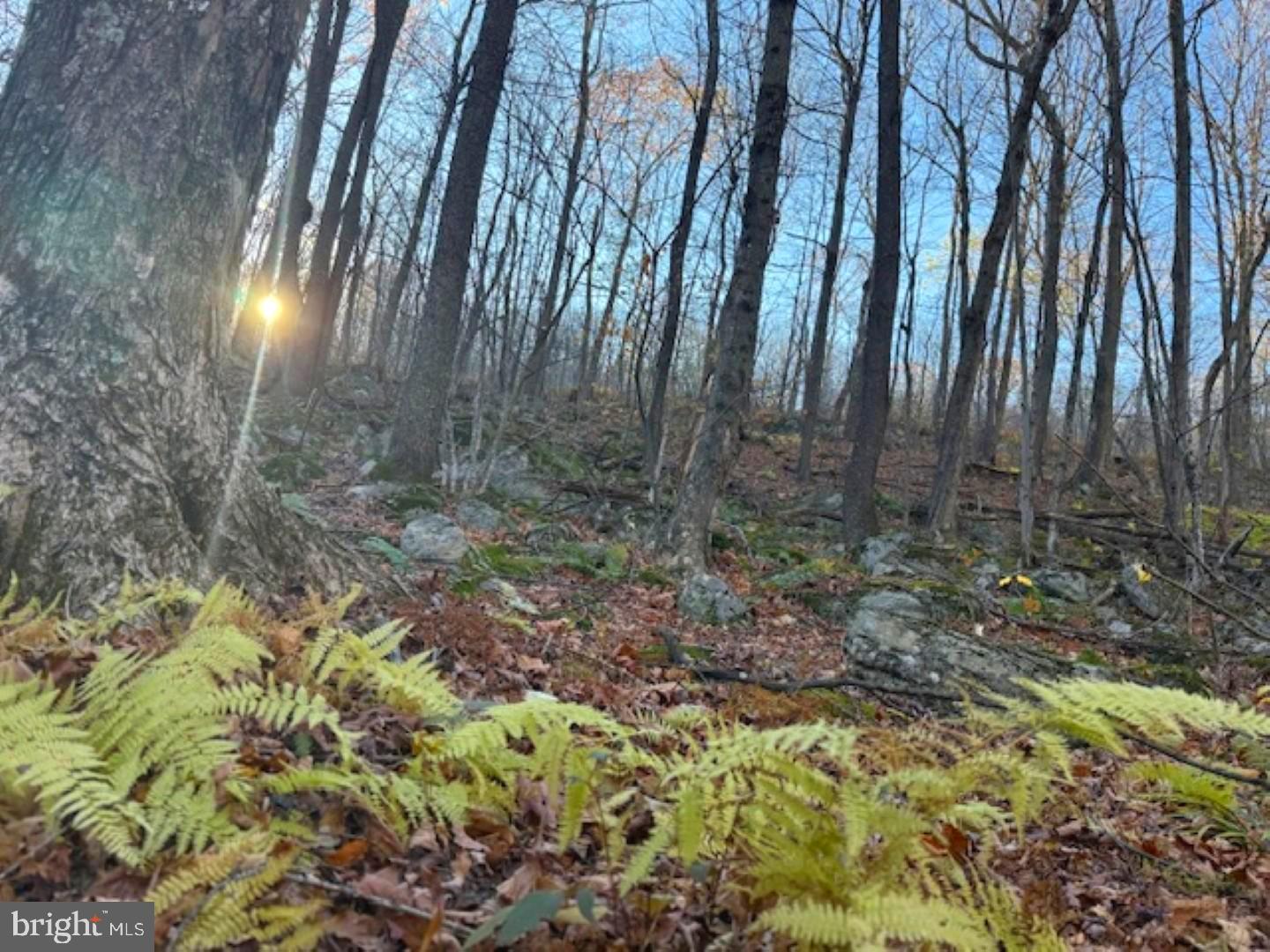RETREAT AT DOLLY SODS - Land