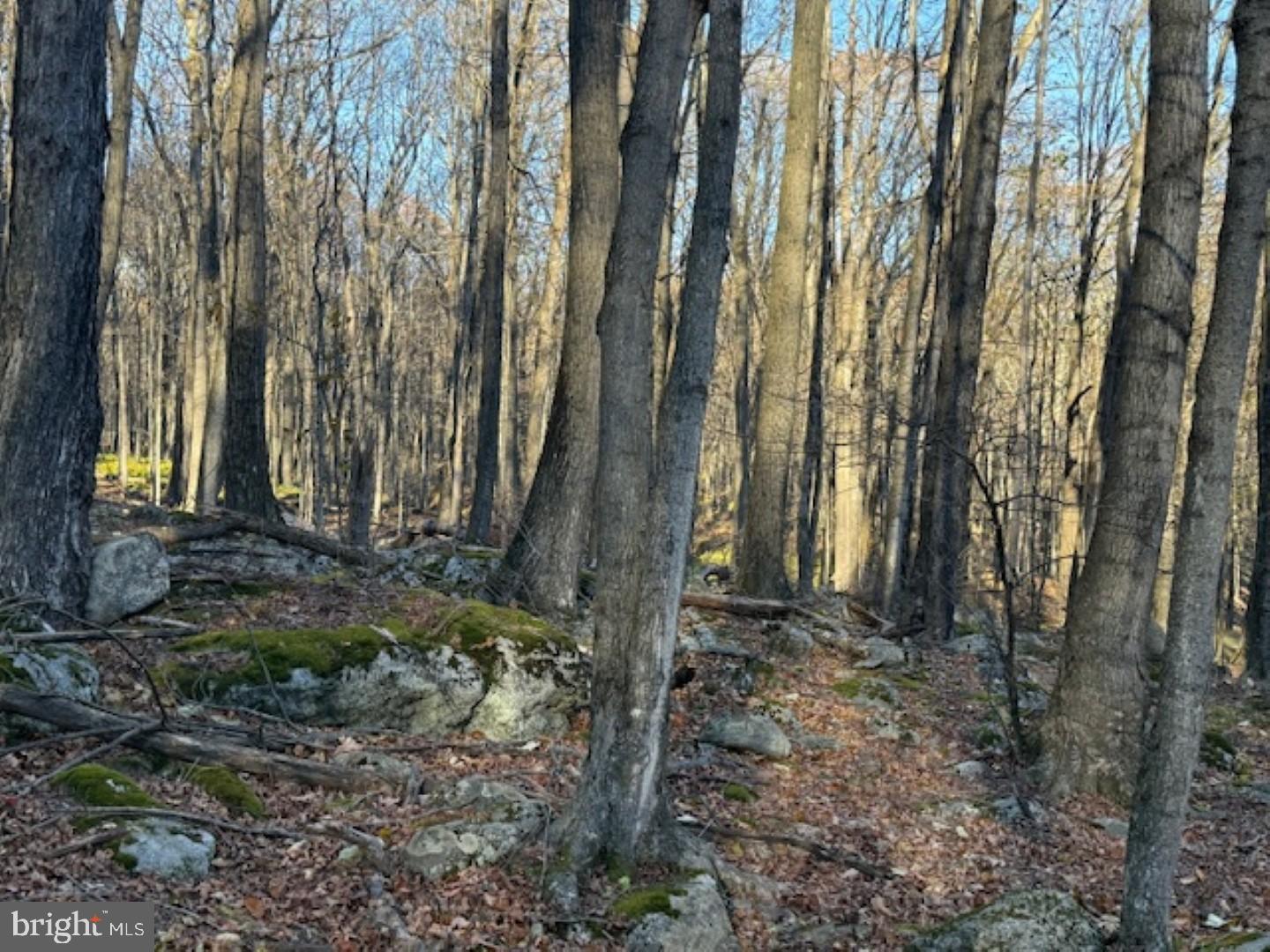 RETREAT AT DOLLY SODS - Land